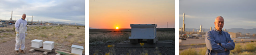 Protecting Bees & Maintaining Safe Operations