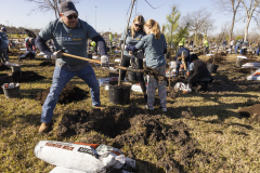 APA_US_ArborDay_01_LowRes