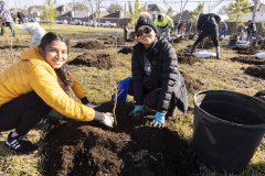 APA_US_ArborDay_02_LowRes