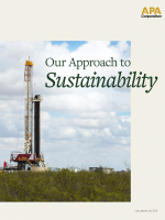 APA_2024-ProgressReport_Cover3